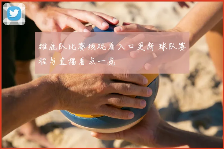 雄鹿队比赛线观看入口更新 球队赛程与直播看点一览