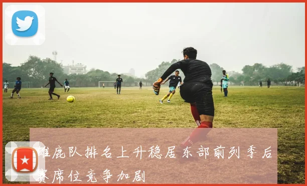 雄鹿队排名上升稳居东部前列季后赛席位竞争加剧
