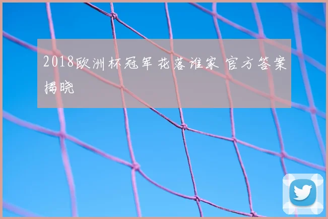 2018欧洲杯冠军花落谁家 官方答案揭晓