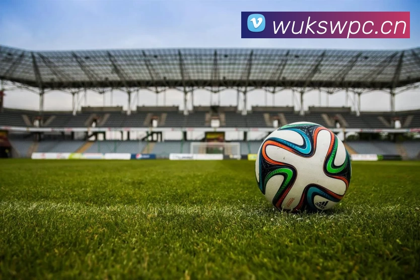 多媒体互动体验